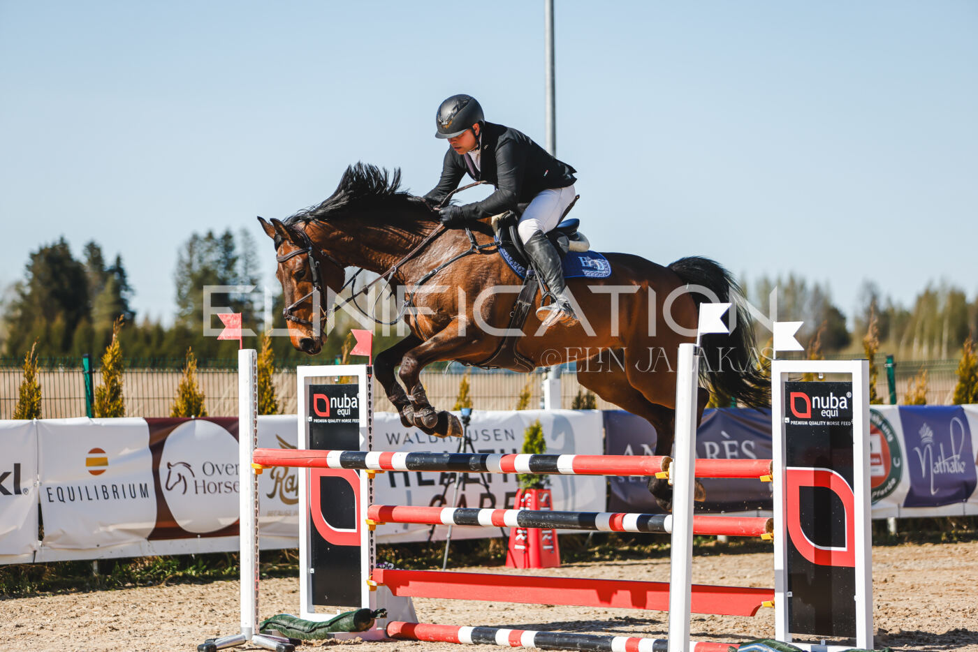 Gramina_Volber_2026_120_0139
