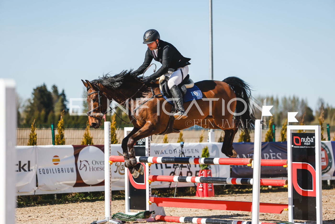 Gramina_Volber_2026_120_0141