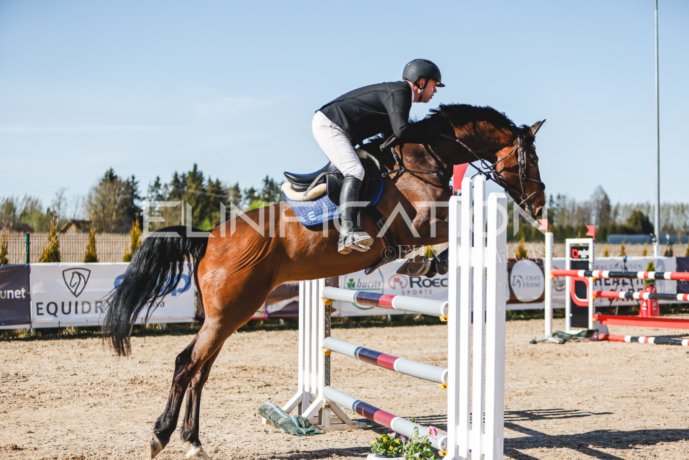 Gramina_Volber_2026_120_0146