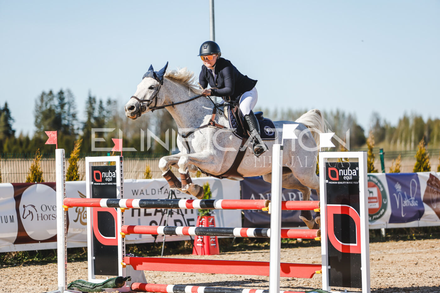 Gramina_Volber_2026_120_0162