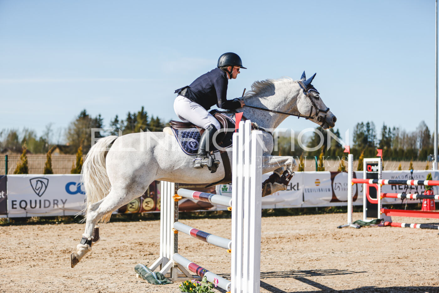 Gramina_Volber_2026_120_0179