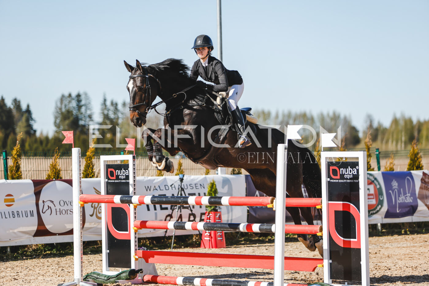Gramina_Volber_2026_120_0215
