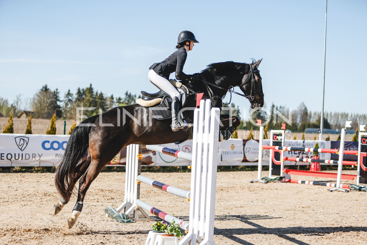 Gramina_Volber_2026_120_0229