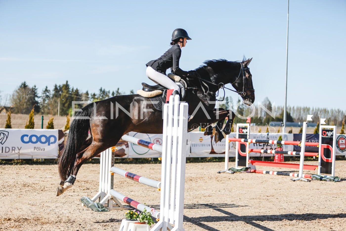 Gramina_Volber_2026_120_0230