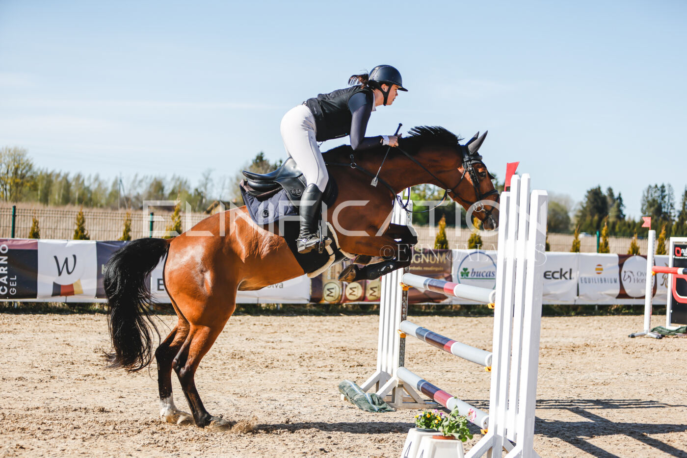 Gramina_Volber_2026_120_0278