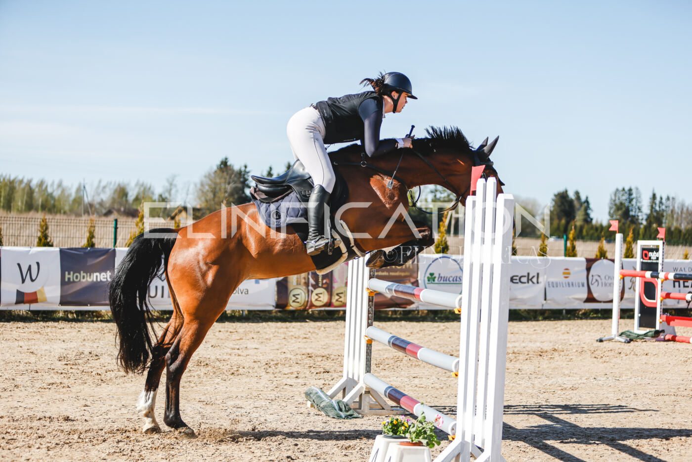 Gramina_Volber_2026_120_0279