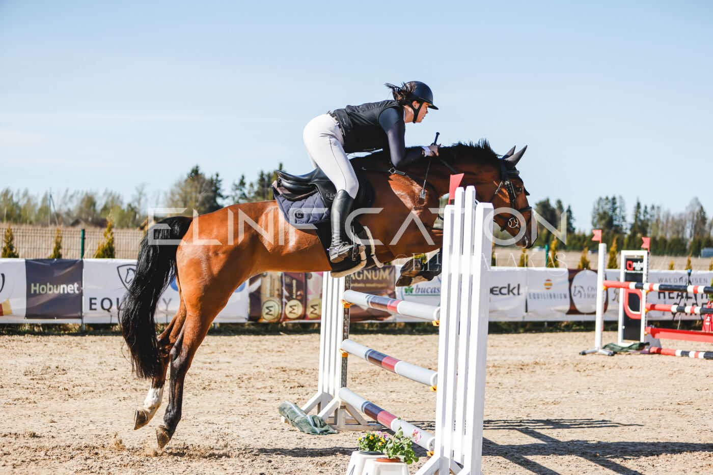 Gramina_Volber_2026_120_0280