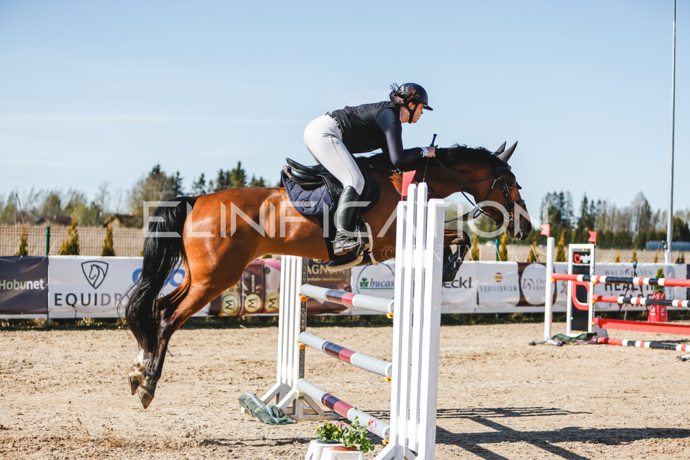 Gramina_Volber_2026_120_0281