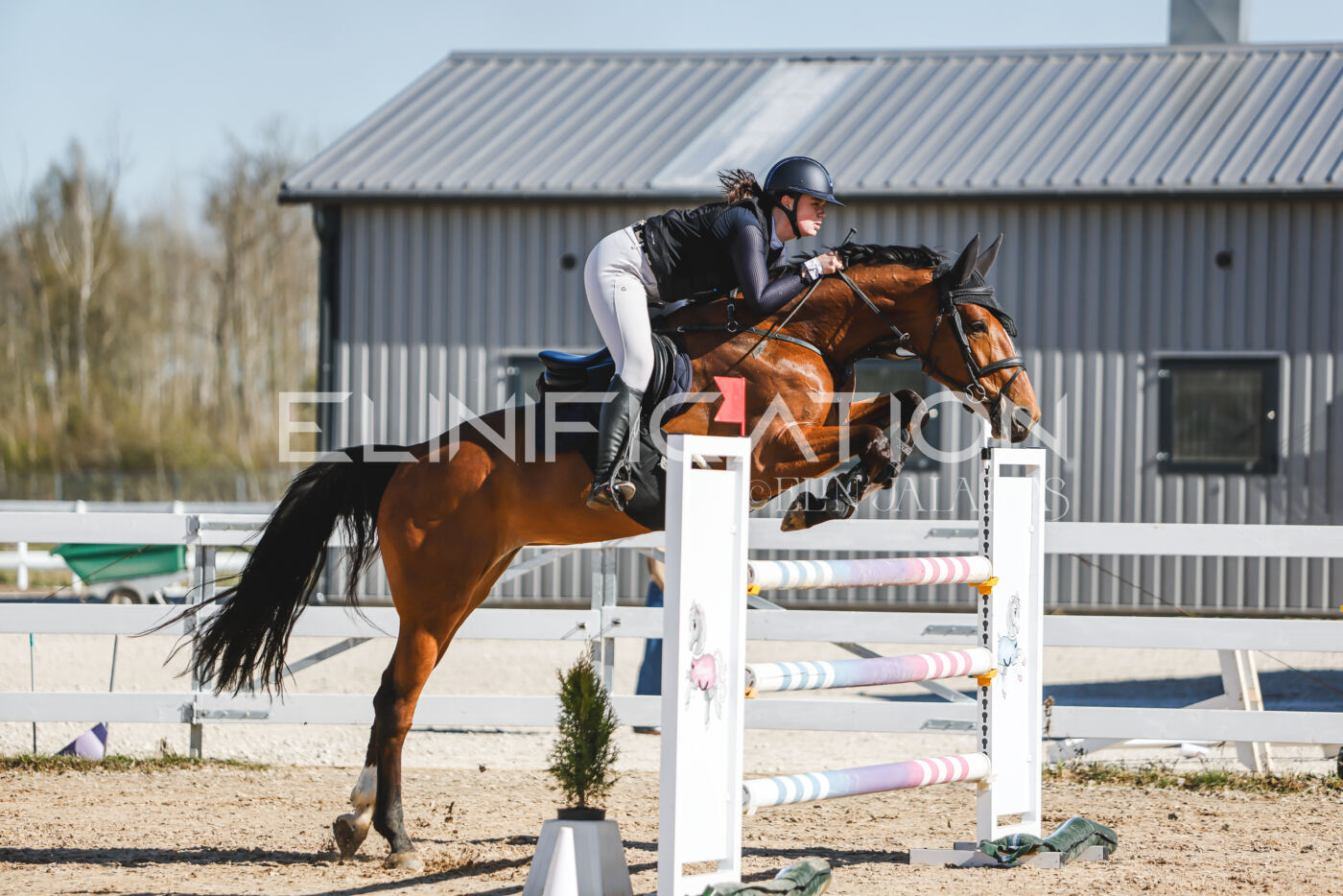 Gramina_Volber_2026_120_0296