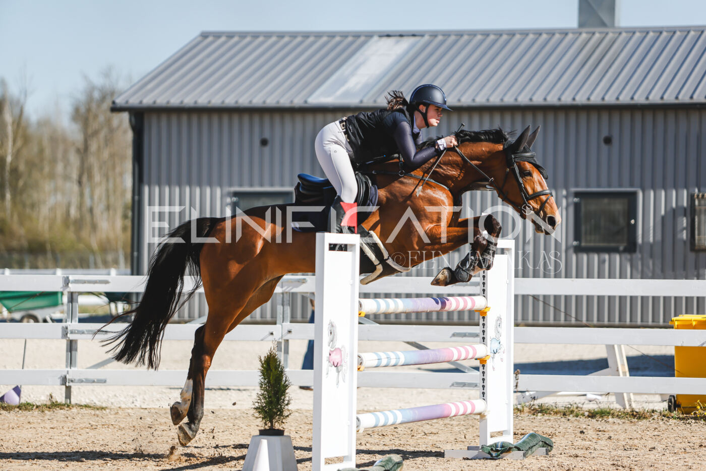Gramina_Volber_2026_120_0297