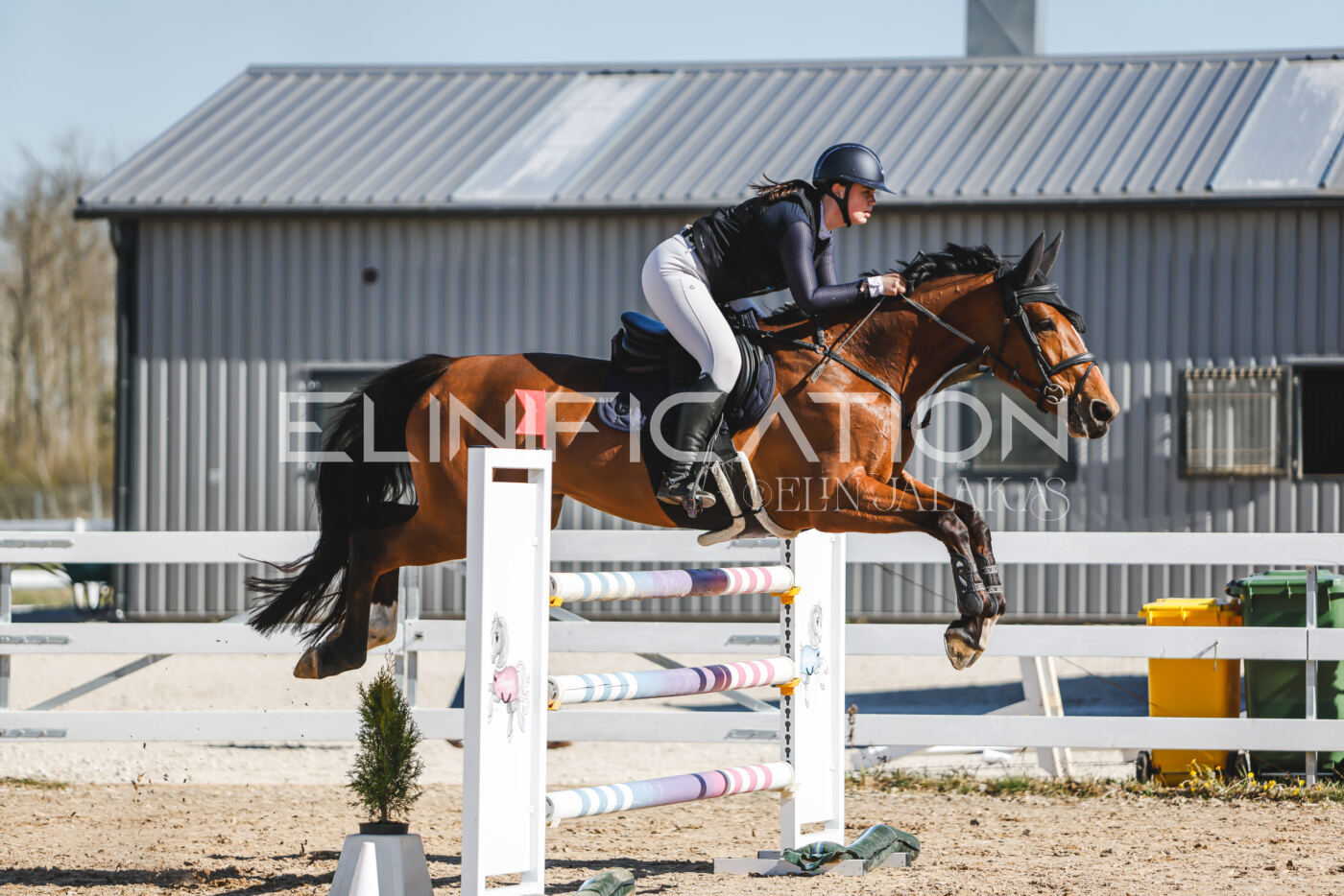 Gramina_Volber_2026_120_0299