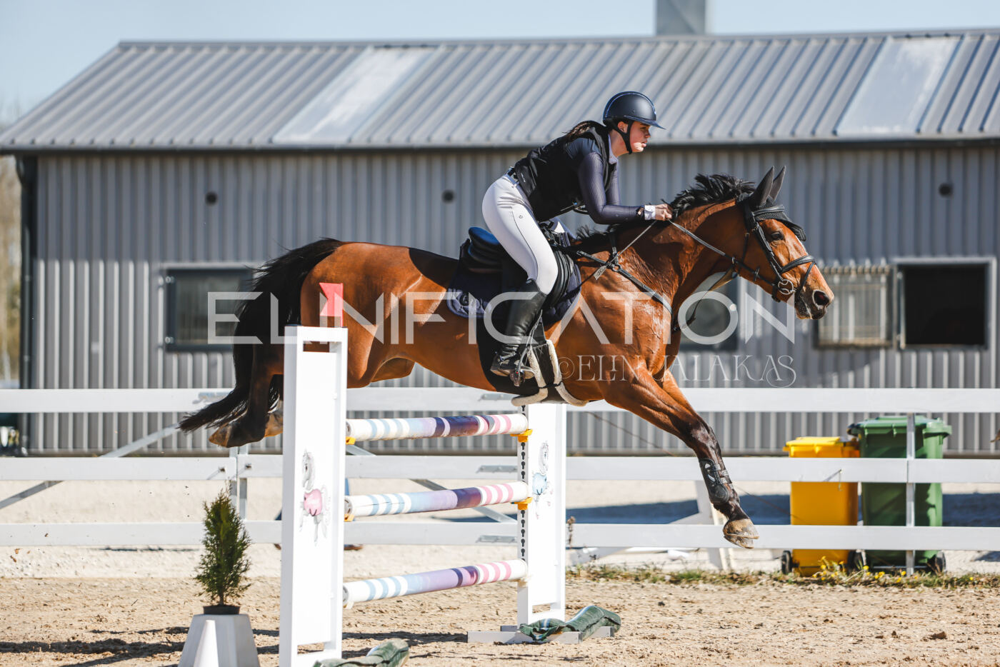 Gramina_Volber_2026_120_0300