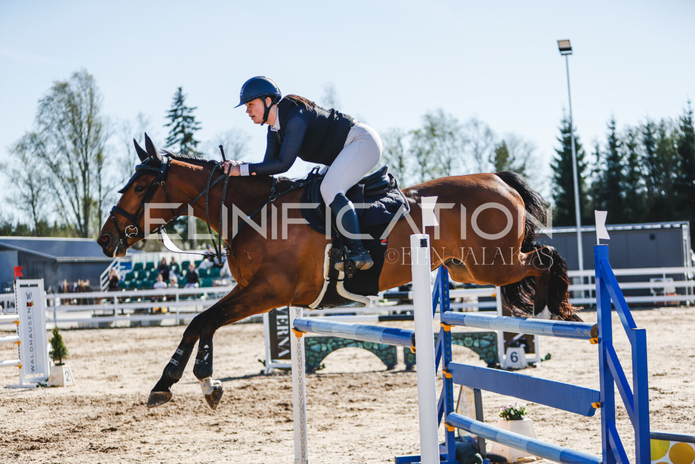 Gramina_Volber_2026_120_0313