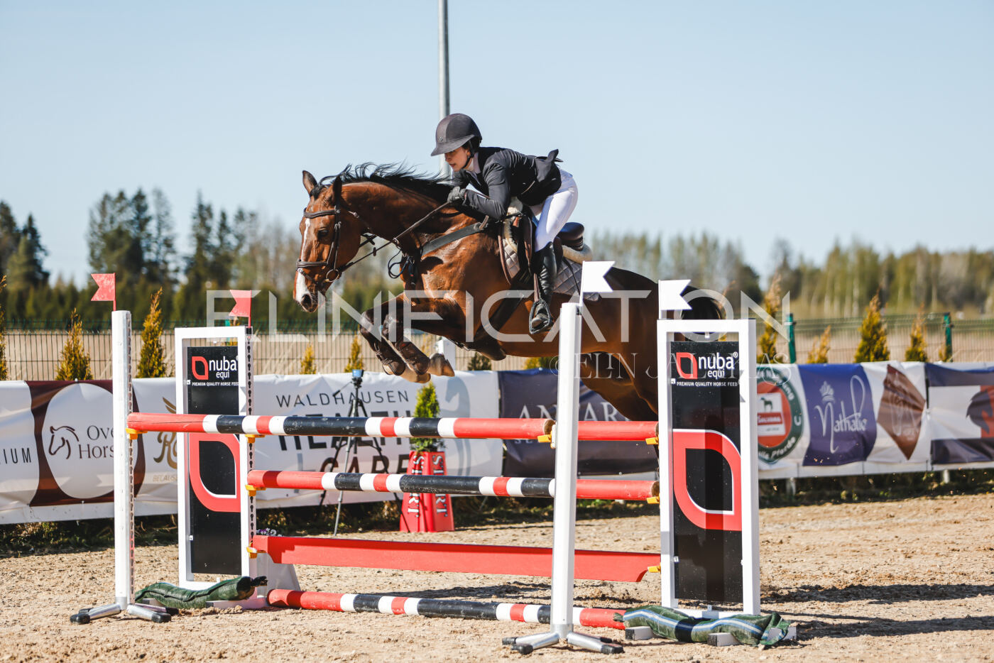 Gramina_Volber_2026_120_0314