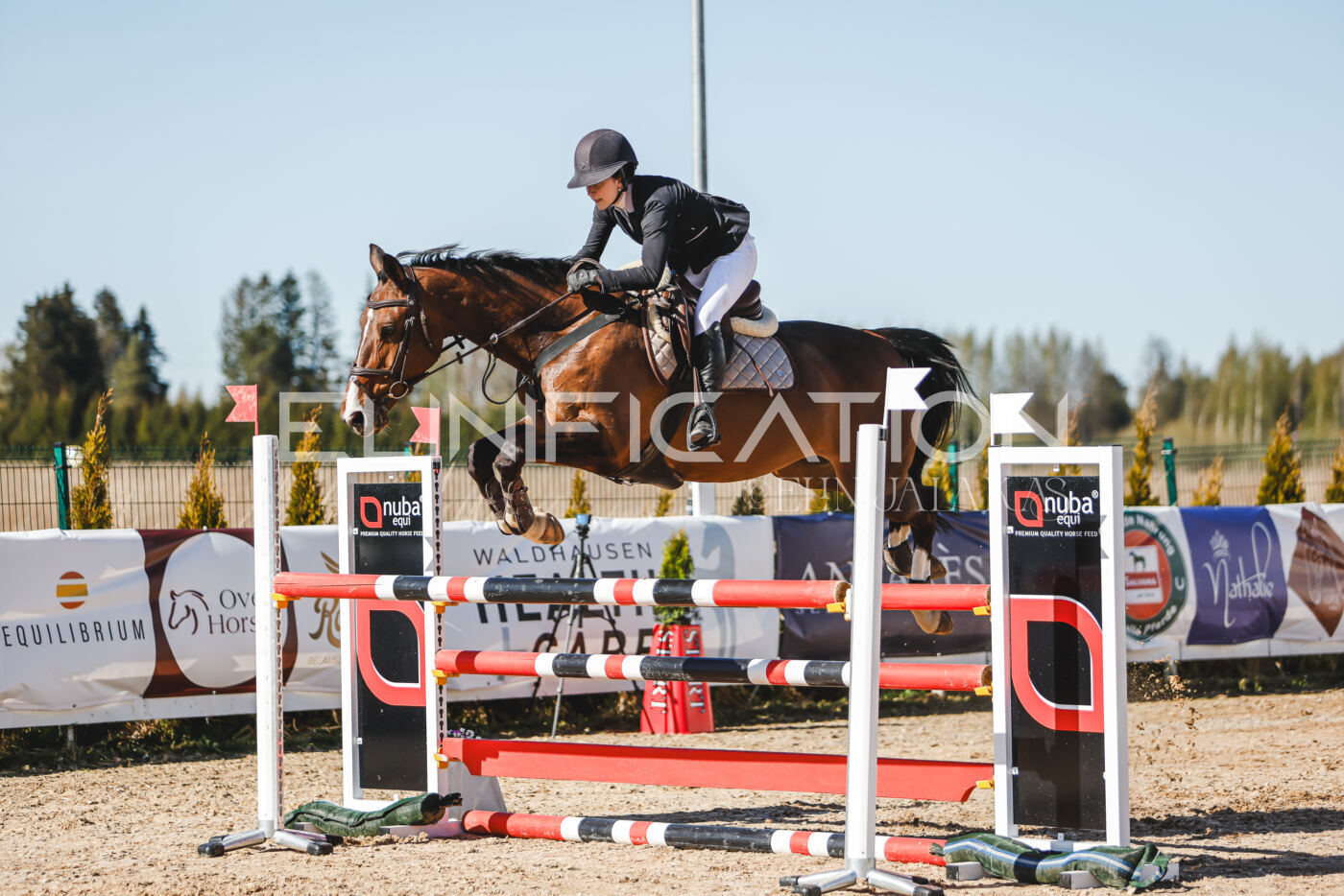 Gramina_Volber_2026_120_0316