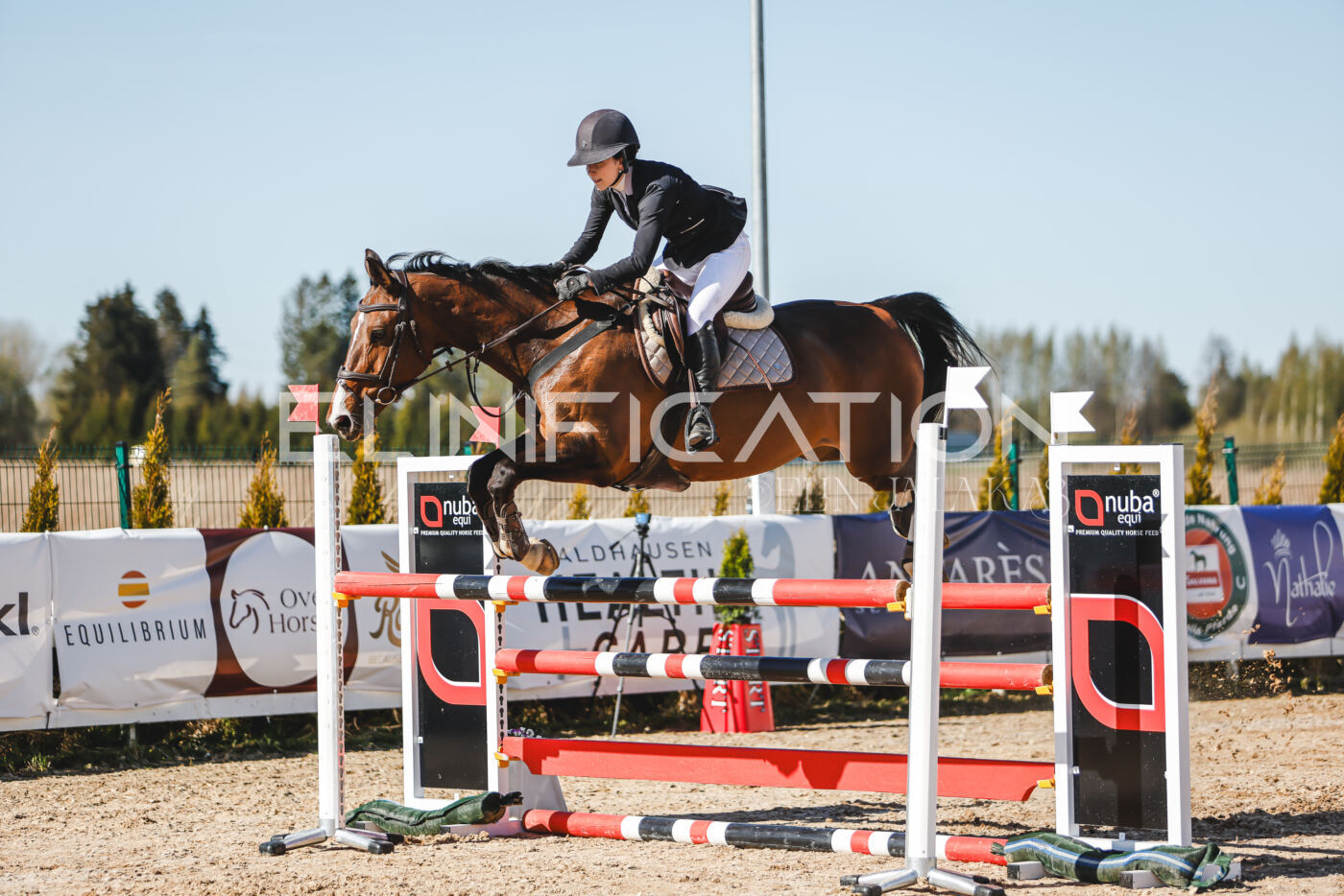 Gramina_Volber_2026_120_0317