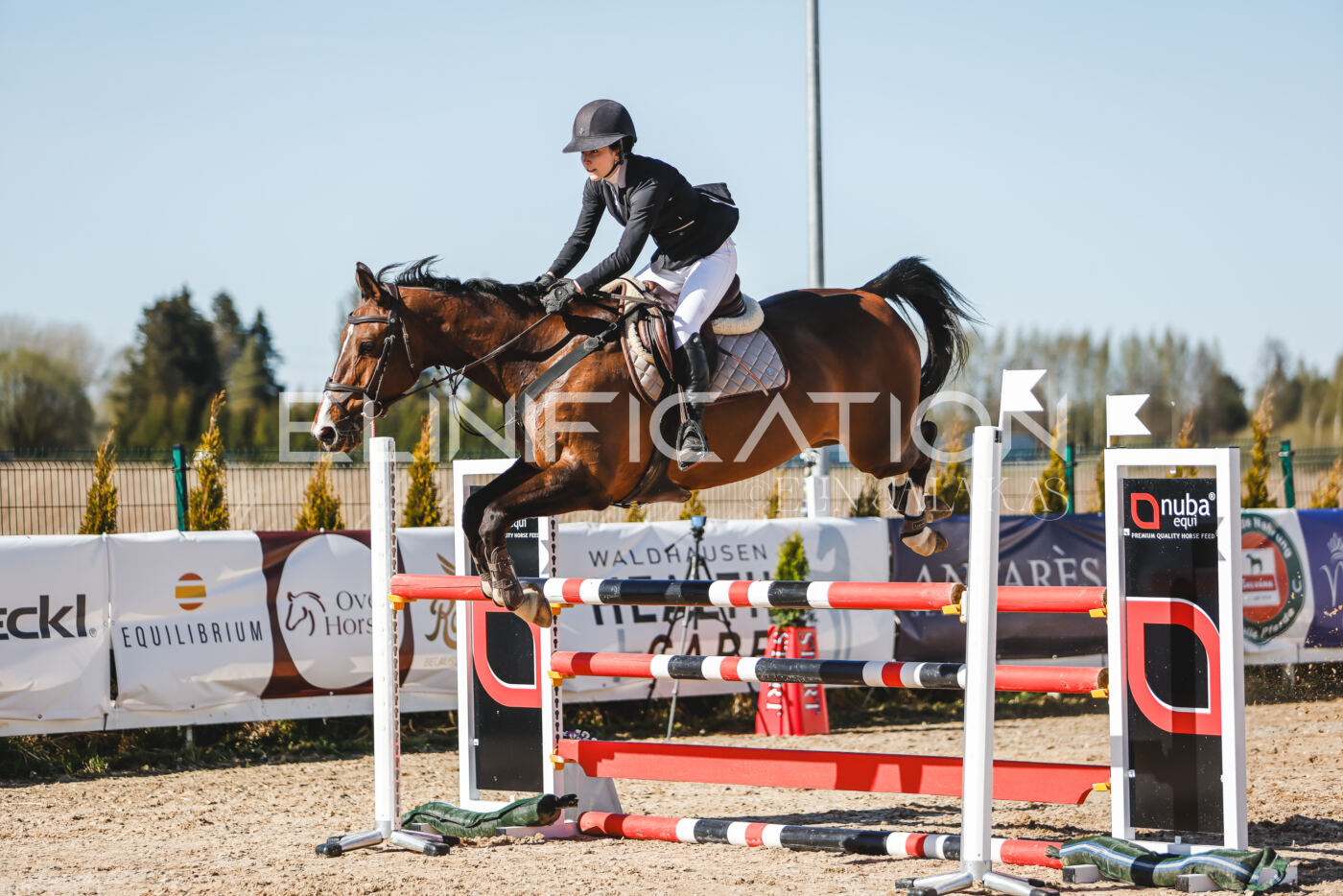 Gramina_Volber_2026_120_0318