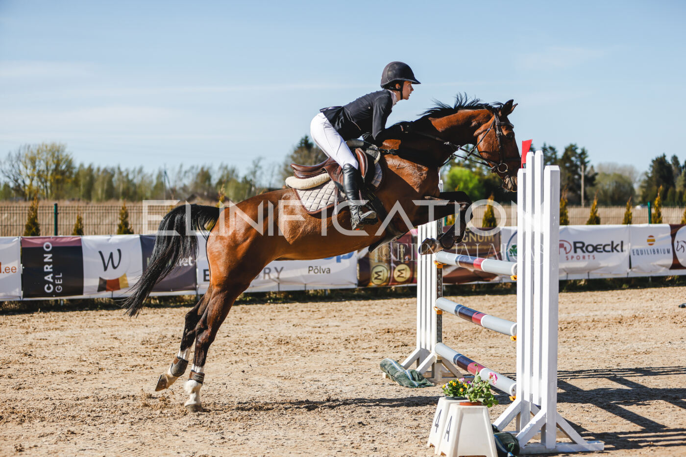 Gramina_Volber_2026_120_0323