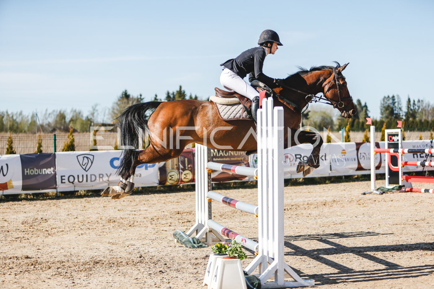 Gramina_Volber_2026_120_0326