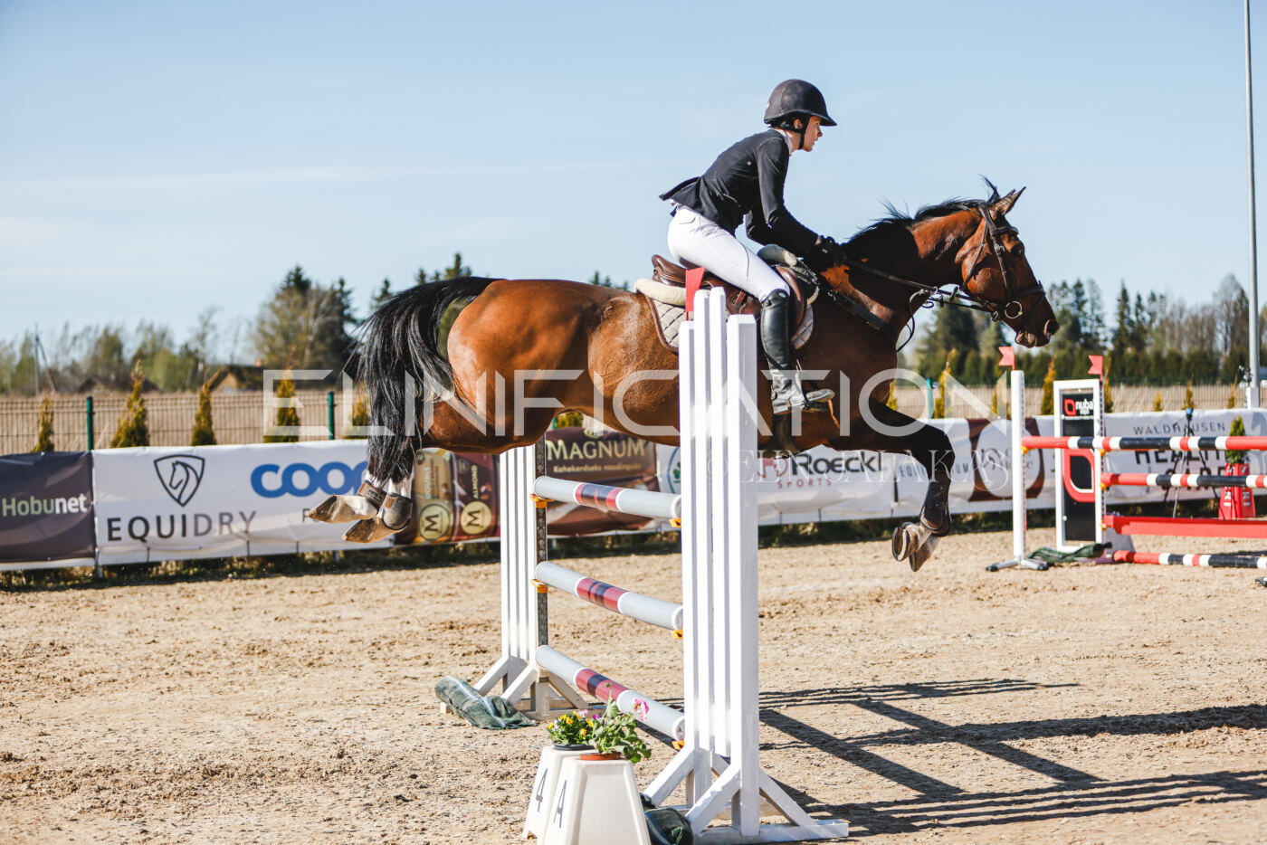 Gramina_Volber_2026_120_0327