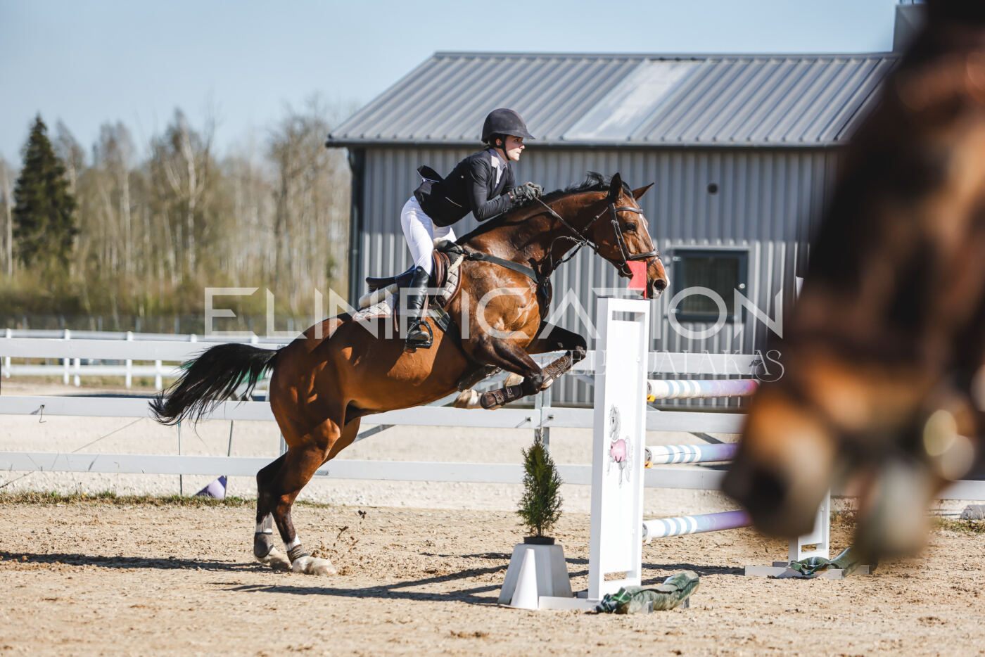 Gramina_Volber_2026_120_0340