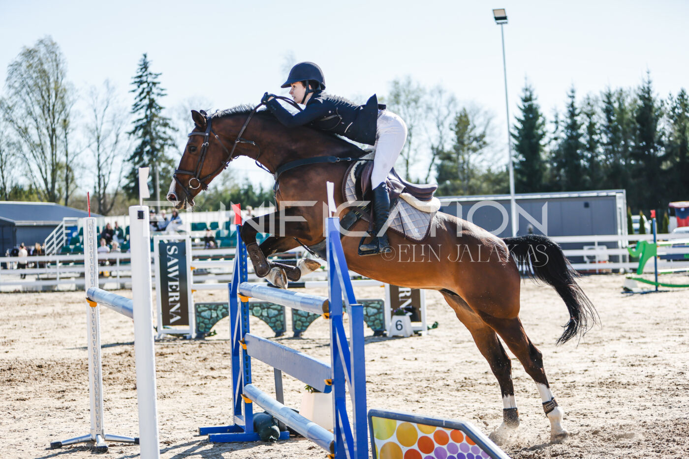 Gramina_Volber_2026_120_0341