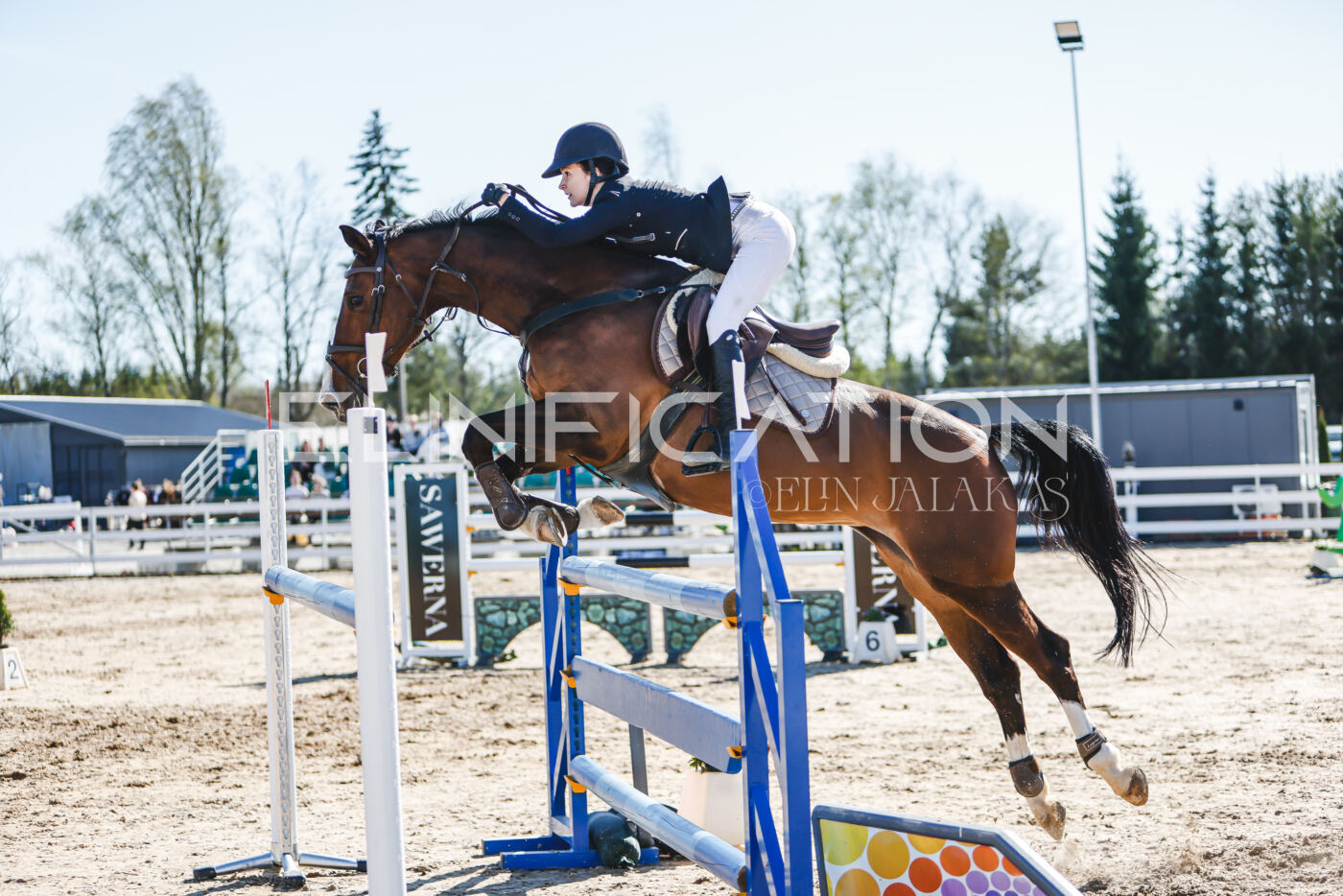 Gramina_Volber_2026_120_0342