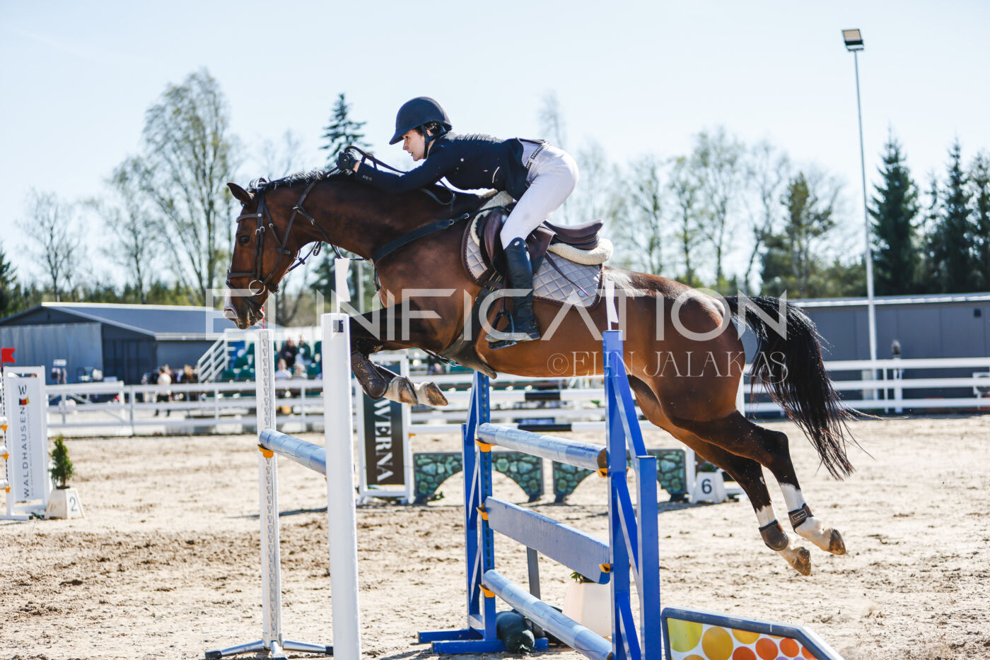 Gramina_Volber_2026_120_0343