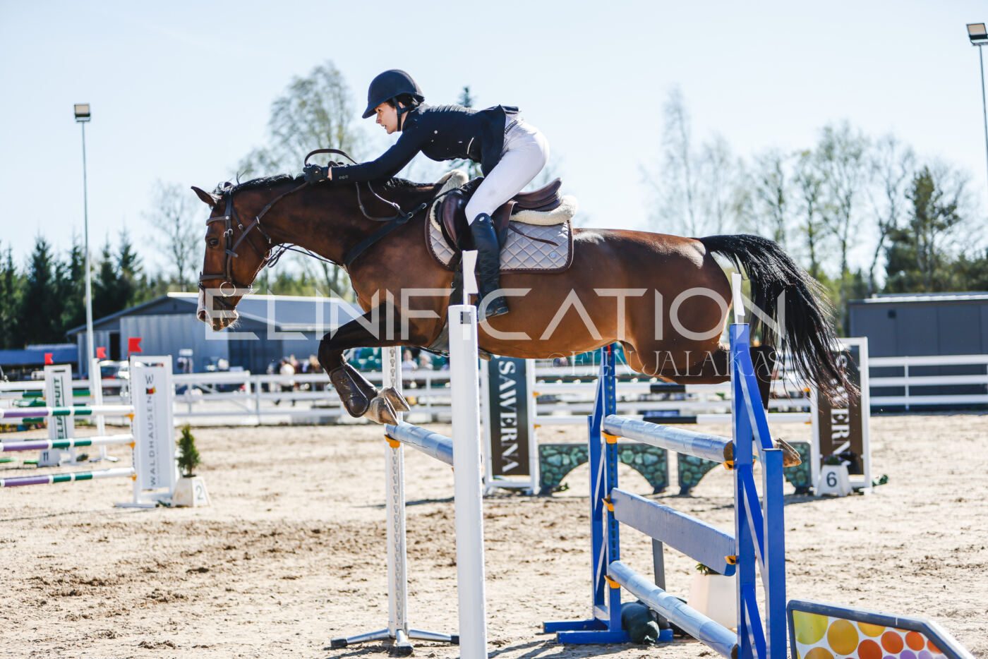 Gramina_Volber_2026_120_0345