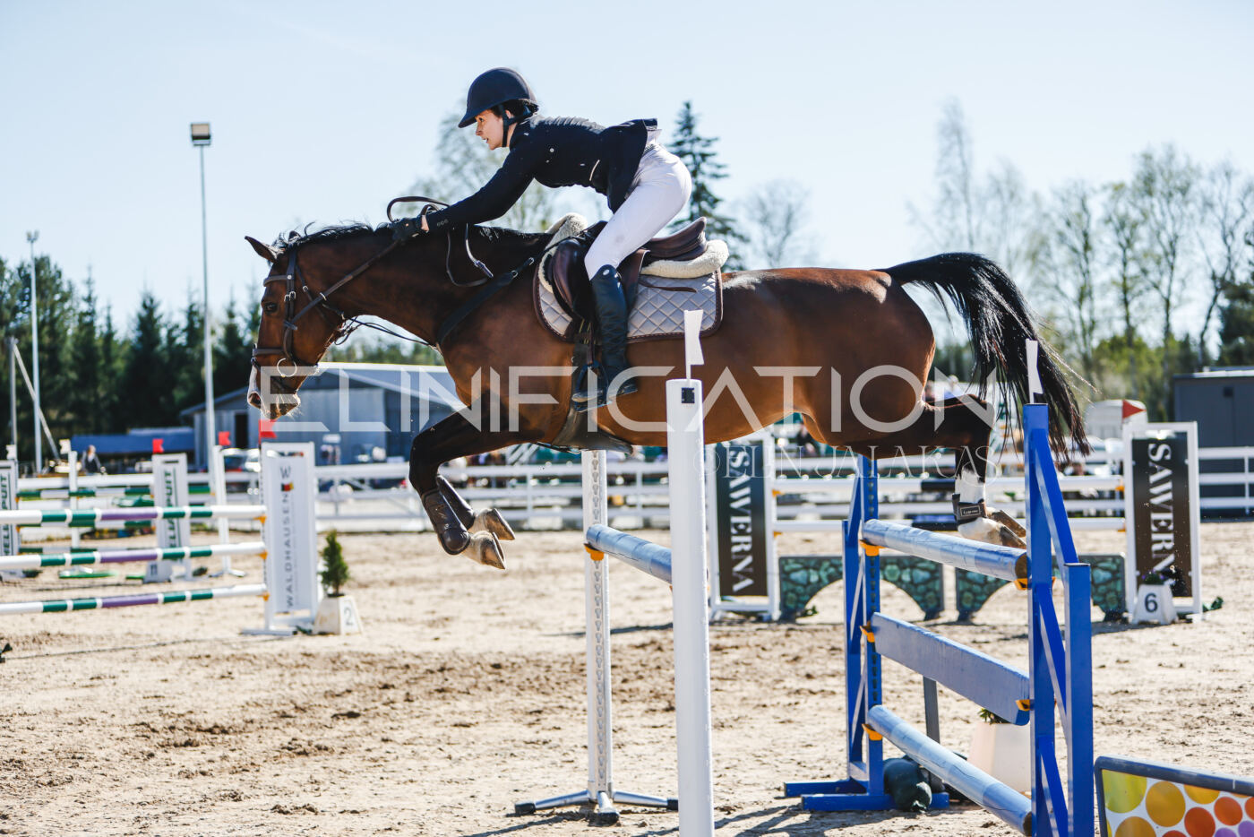 Gramina_Volber_2026_120_0346