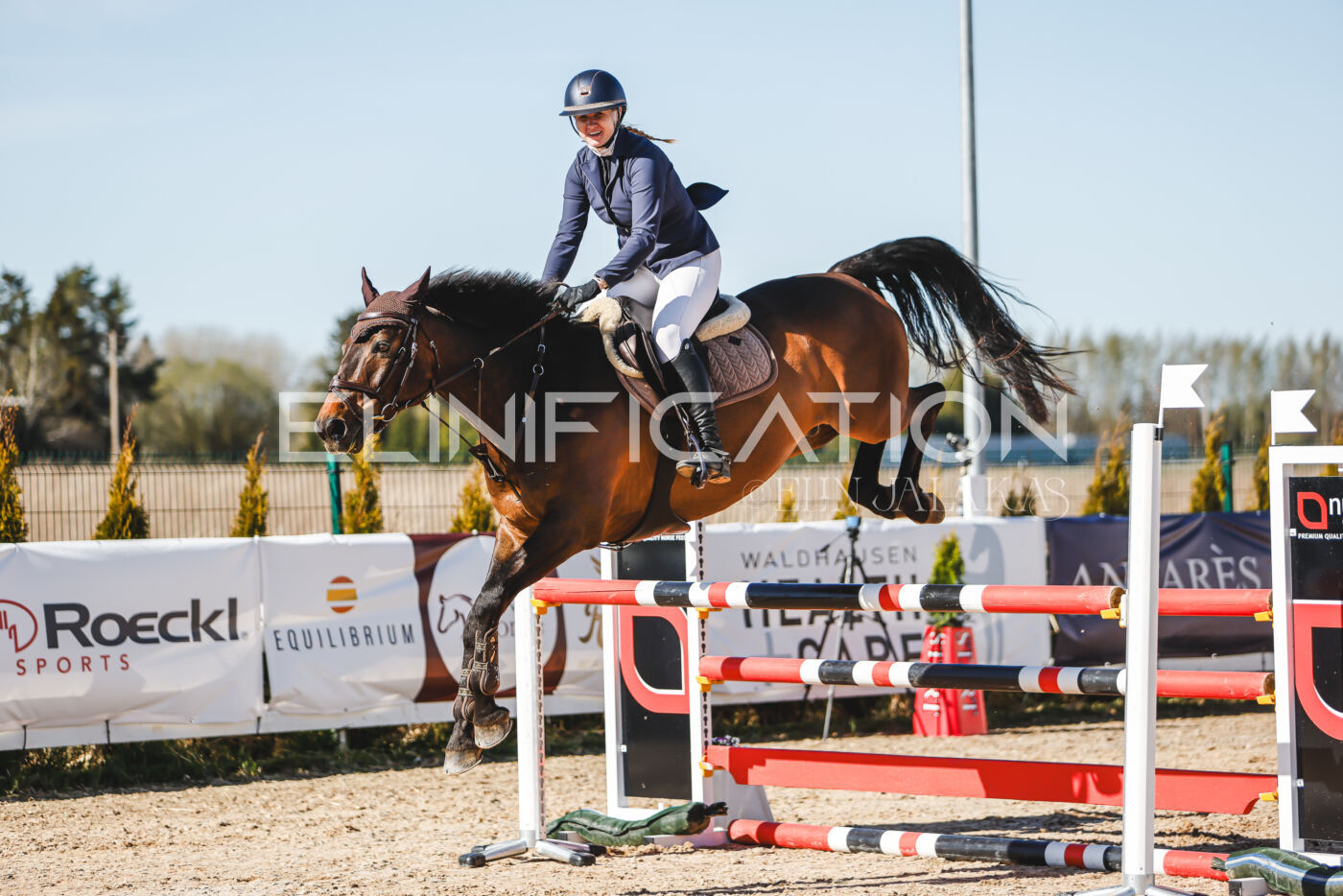 Gramina_Volber_2026_120_0354
