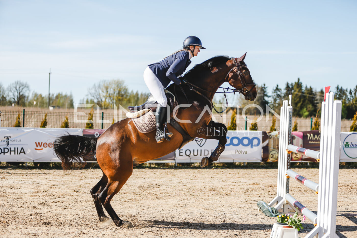 Gramina_Volber_2026_120_0359