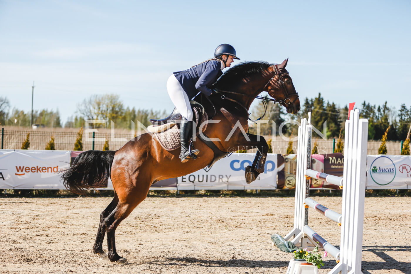 Gramina_Volber_2026_120_0360