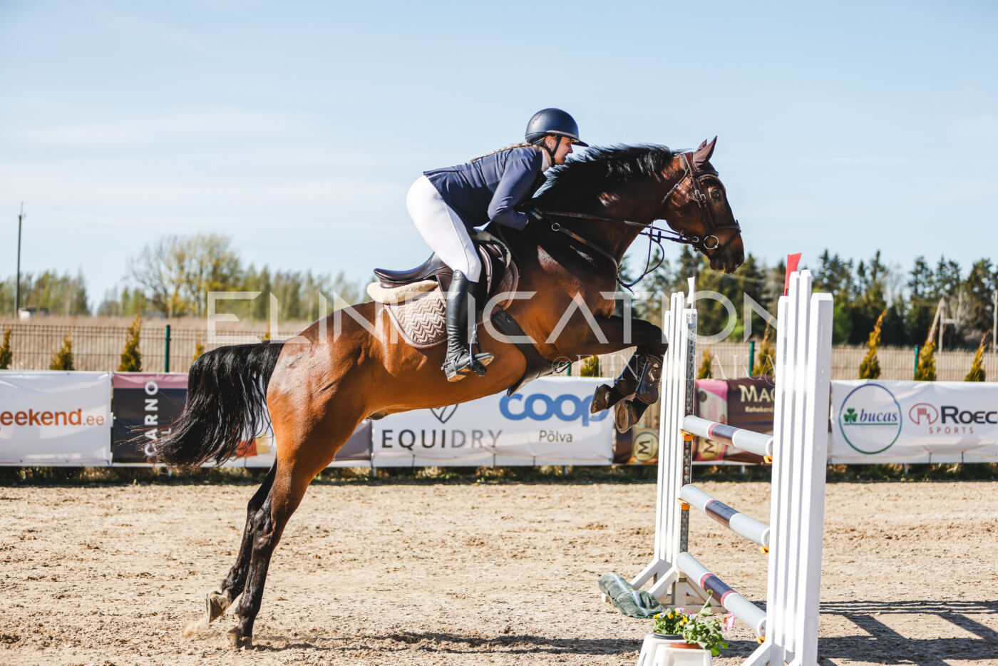 Gramina_Volber_2026_120_0361