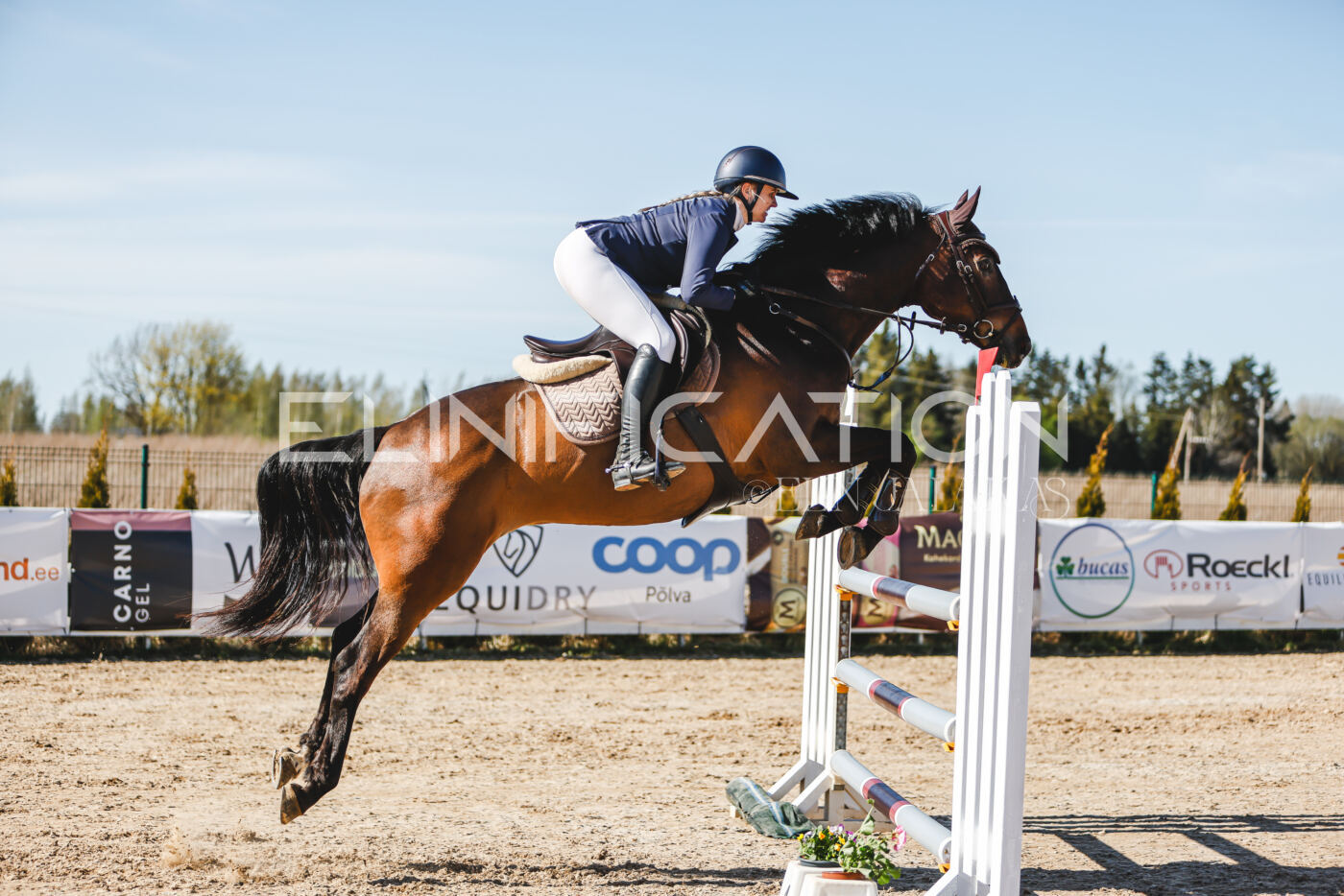 Gramina_Volber_2026_120_0362