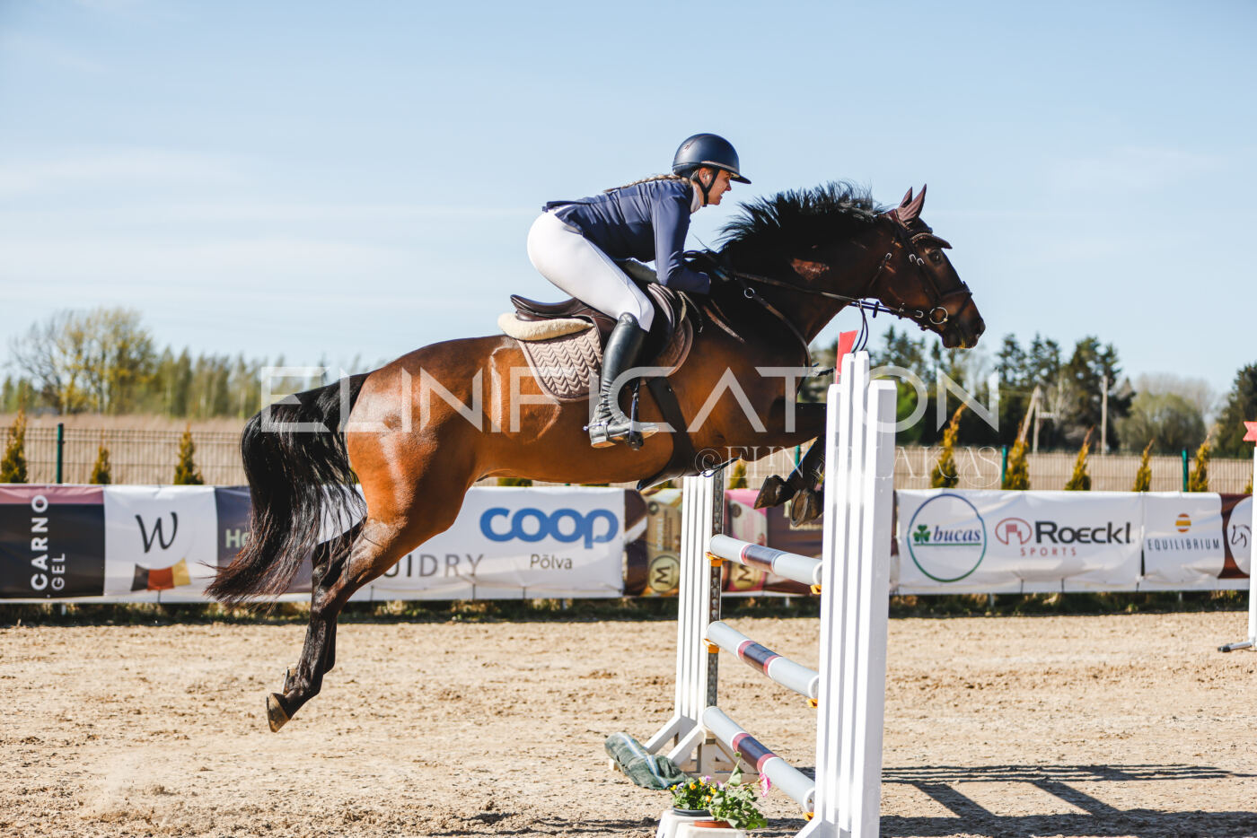 Gramina_Volber_2026_120_0363