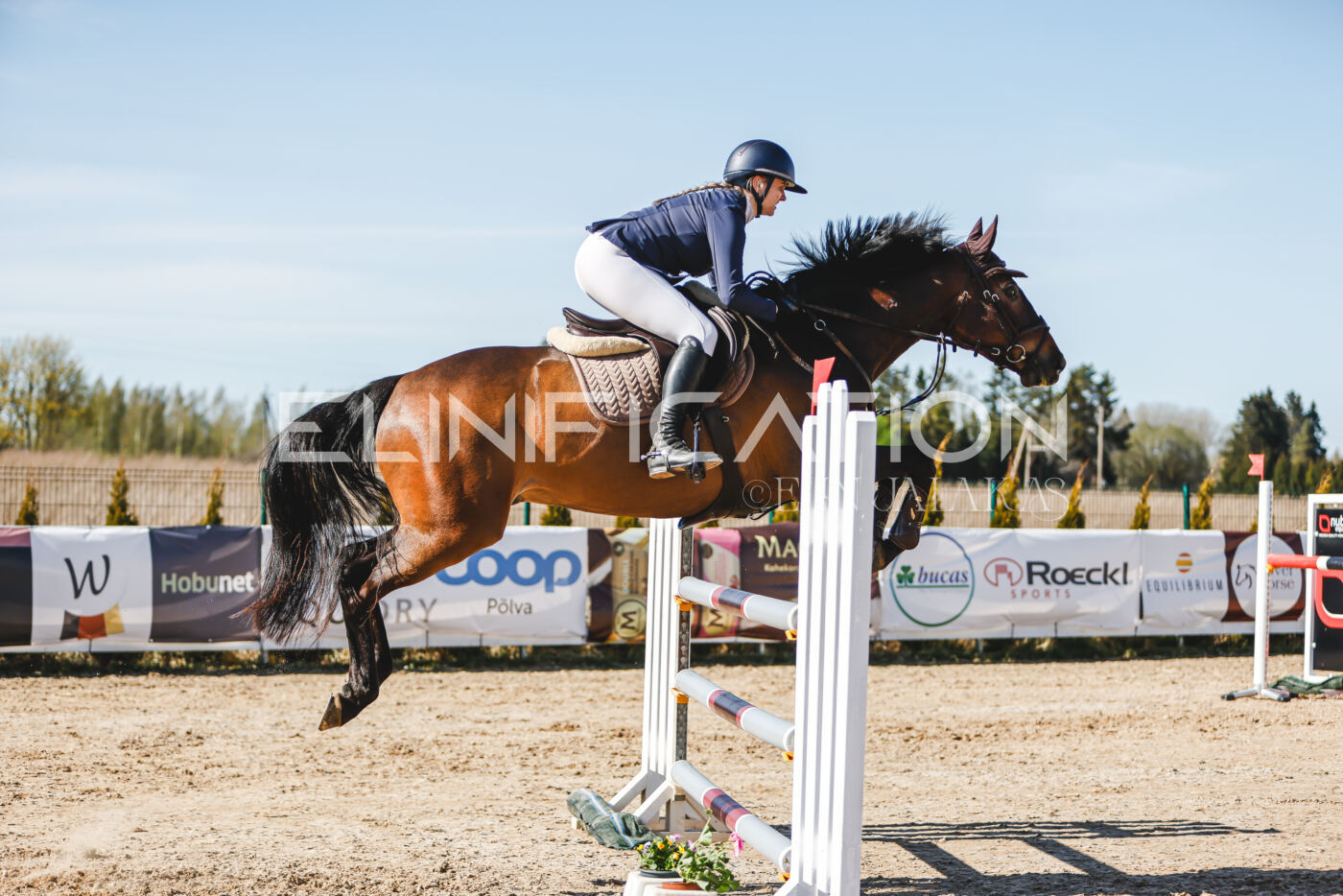 Gramina_Volber_2026_120_0364