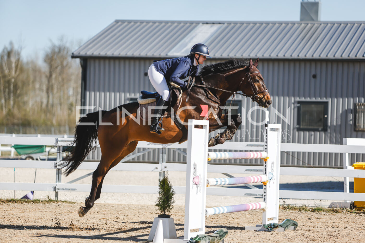 Gramina_Volber_2026_120_0378