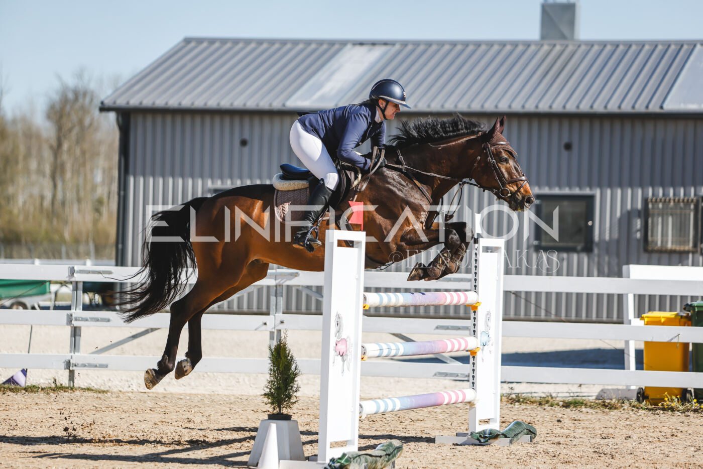 Gramina_Volber_2026_120_0379