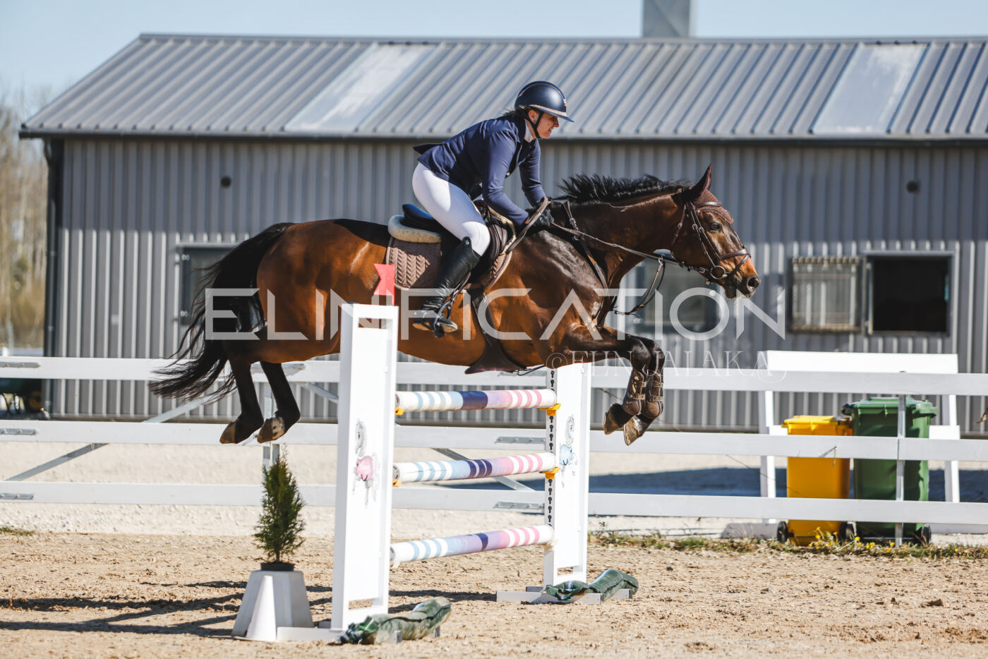 Gramina_Volber_2026_120_0381