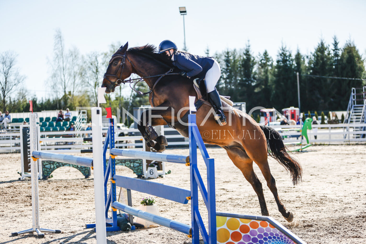 Gramina_Volber_2026_120_0386