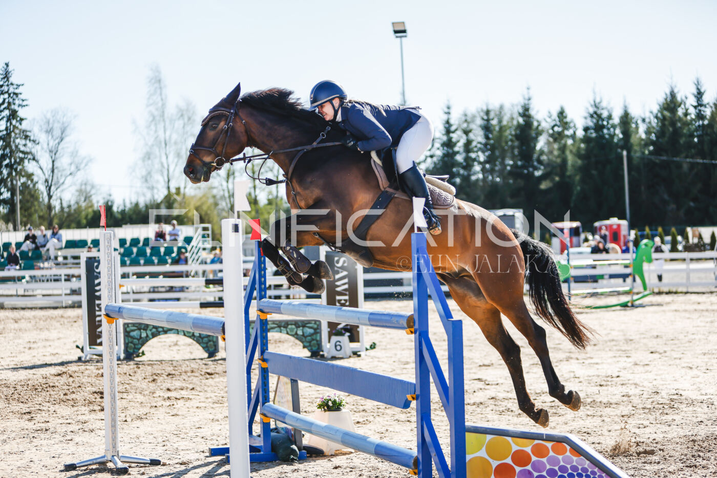 Gramina_Volber_2026_120_0387