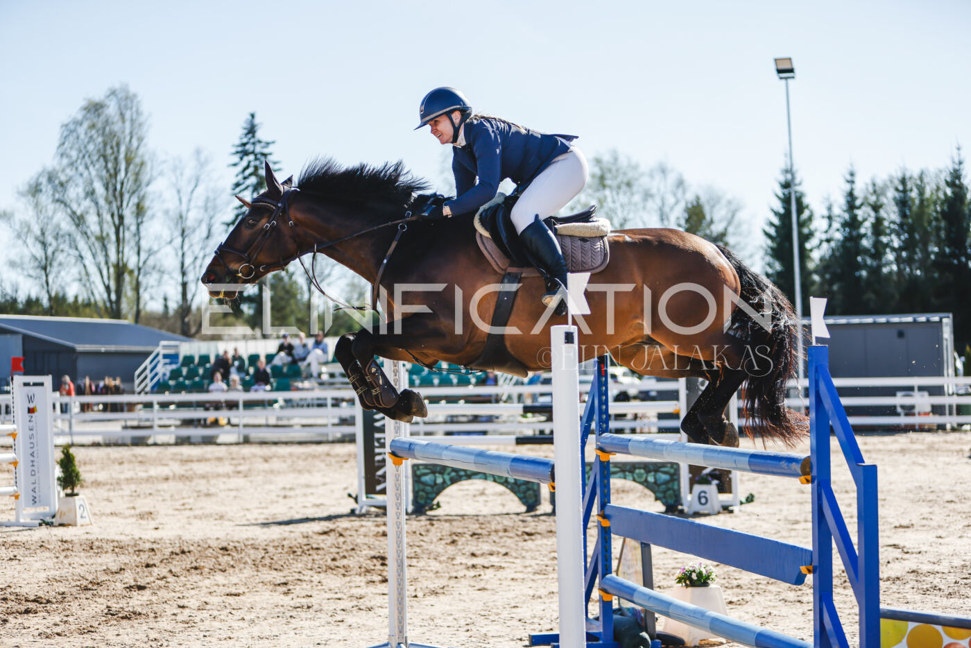Gramina_Volber_2026_120_0391