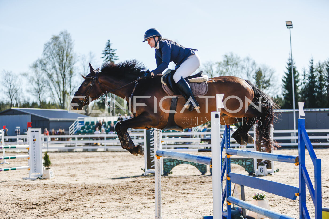 Gramina_Volber_2026_120_0392
