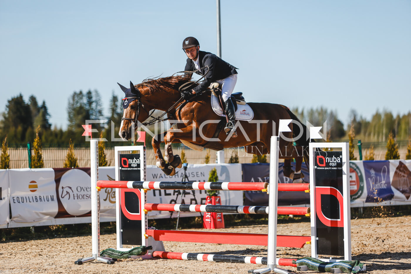 Gramina_Volber_2026_120_0395