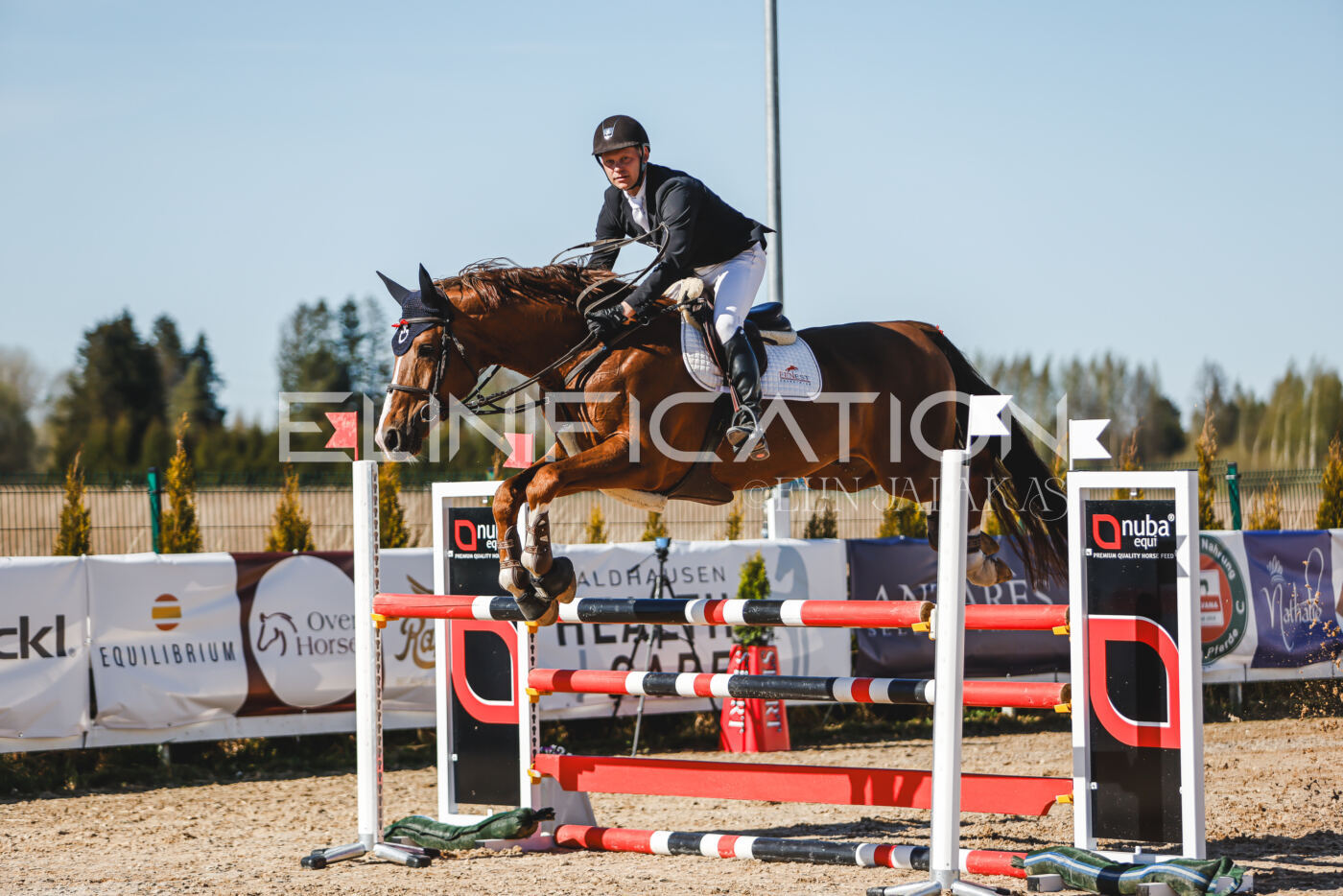 Gramina_Volber_2026_120_0396