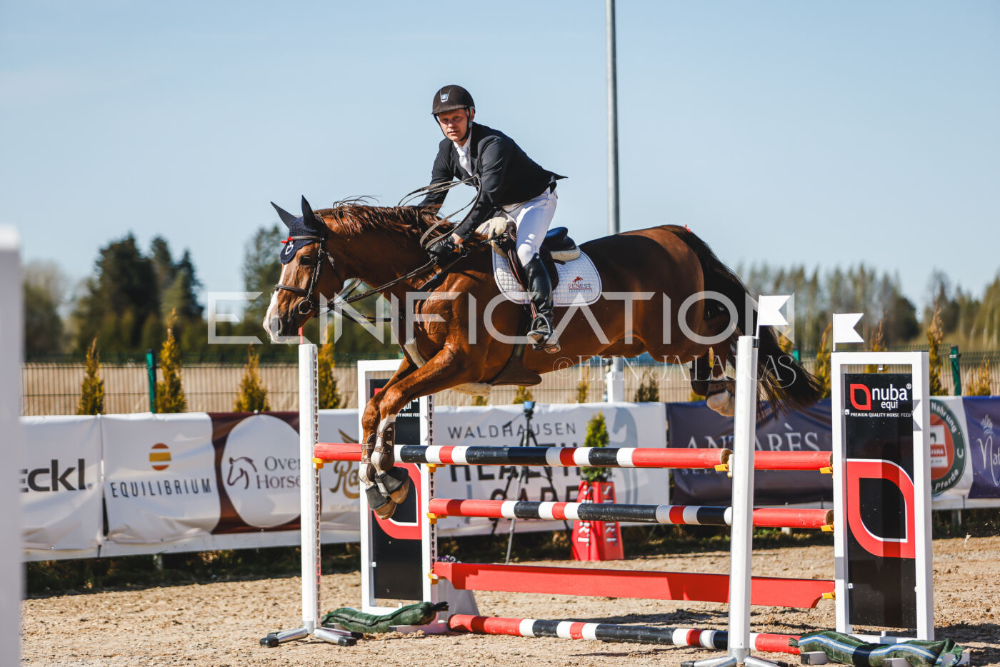 Gramina_Volber_2026_120_0397