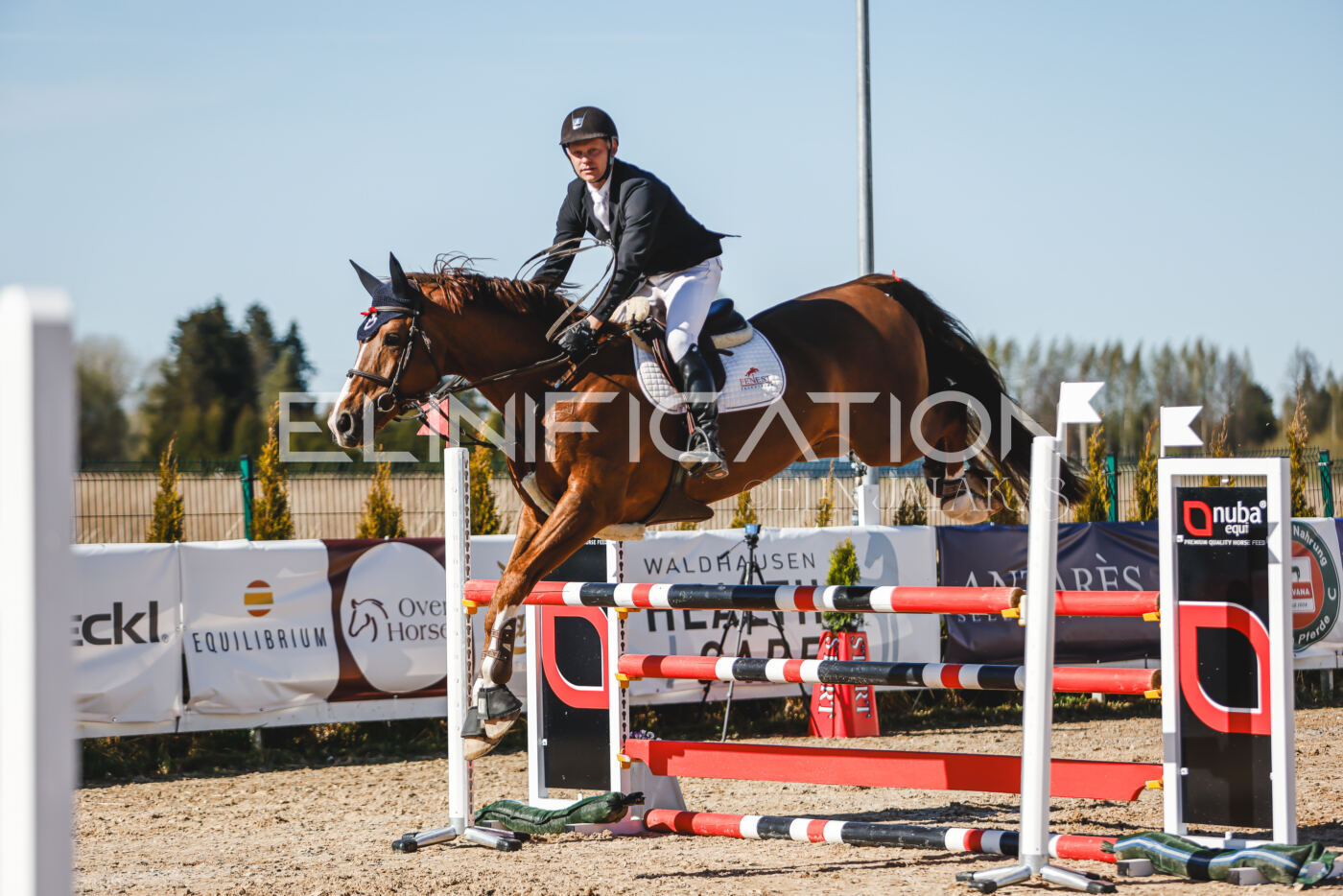 Gramina_Volber_2026_120_0398