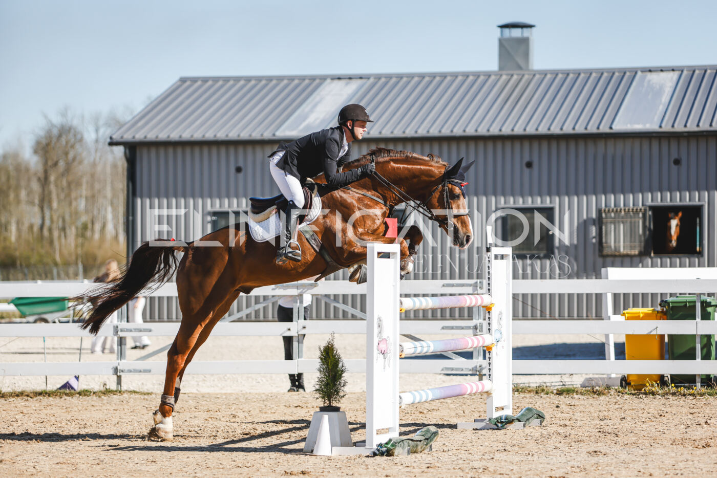 Gramina_Volber_2026_120_0412