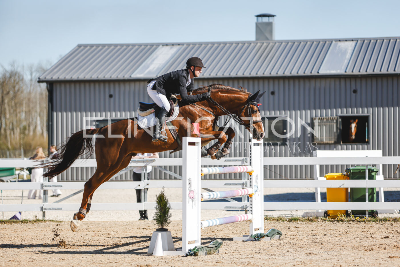 Gramina_Volber_2026_120_0413